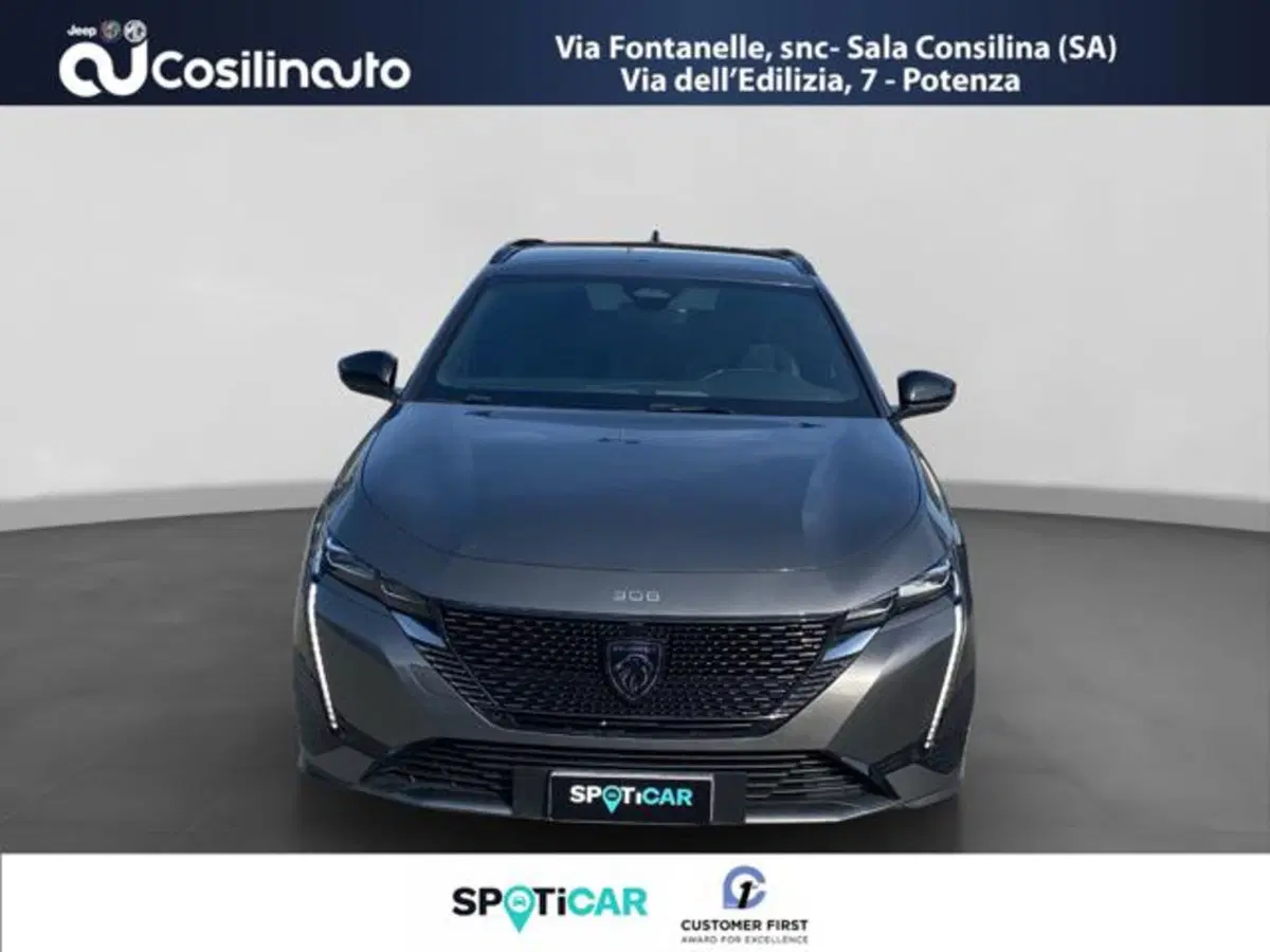 Peugeot 308 SW usata a Salerno (8)