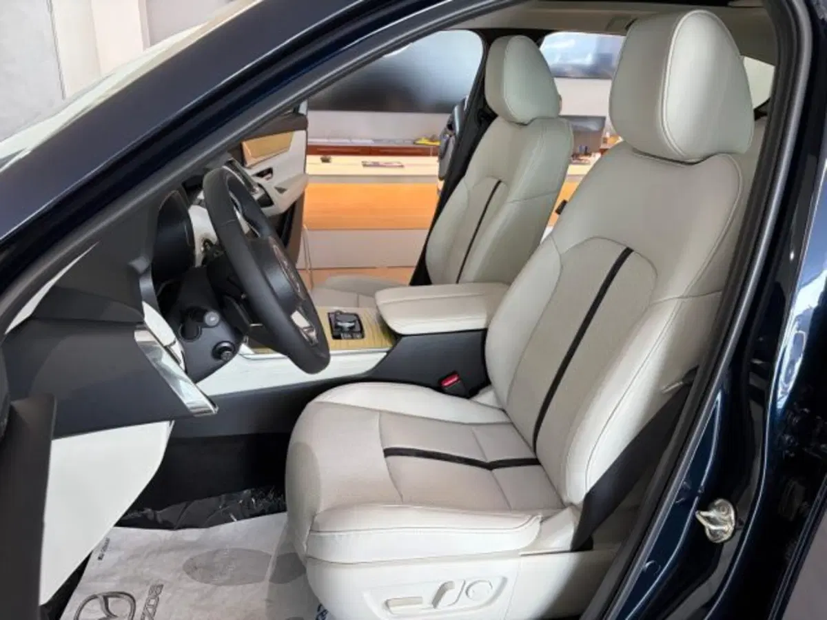 Mazda CX-60 nuova a Cuneo (14)