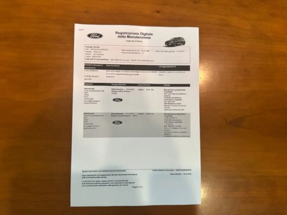 Ford Fiesta usata a Cuneo (16)