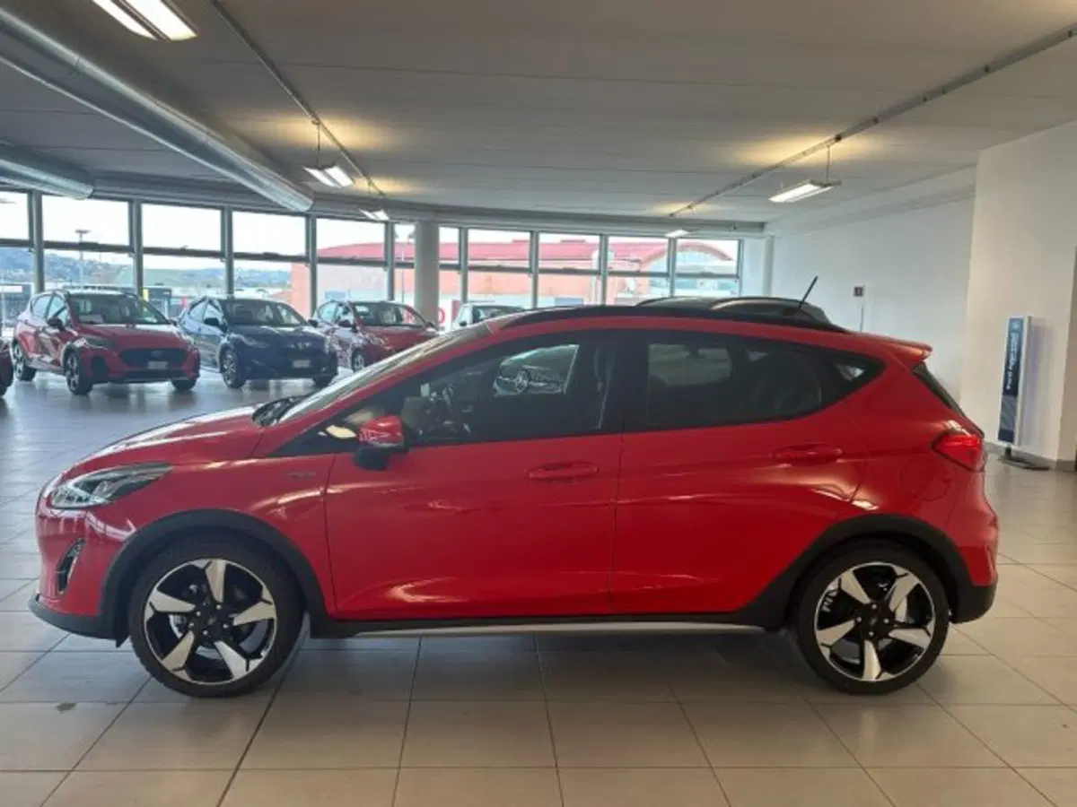 Ford Fiesta usata a Cuneo (4)