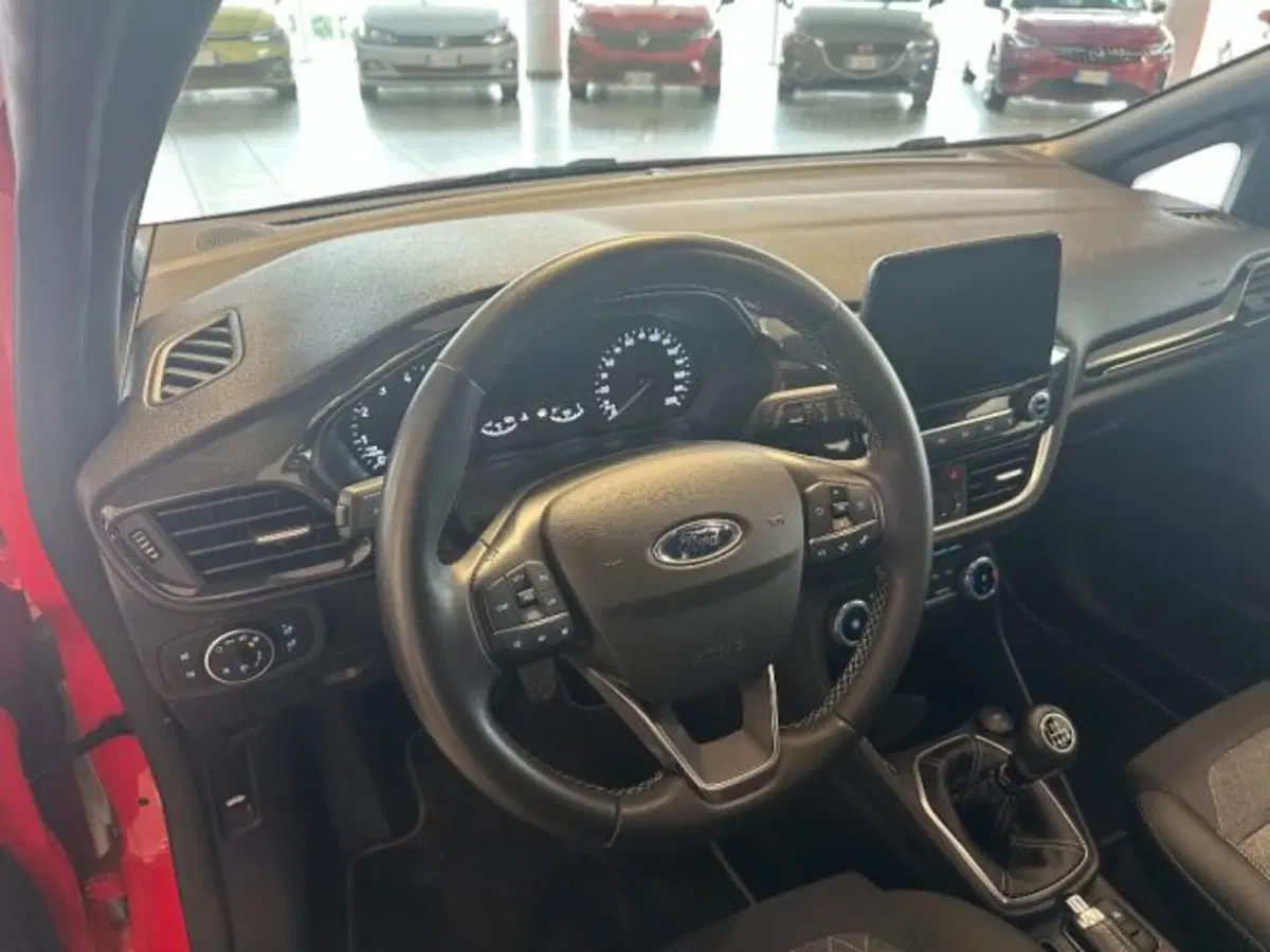 Ford Fiesta usata a Cuneo (9)
