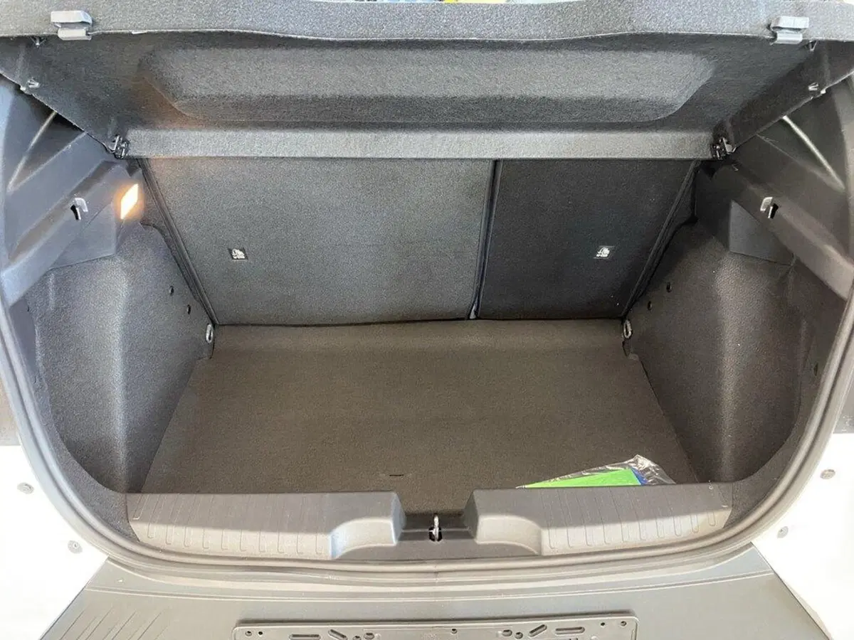 Fiat Grande Panda nuova a Torino (9)