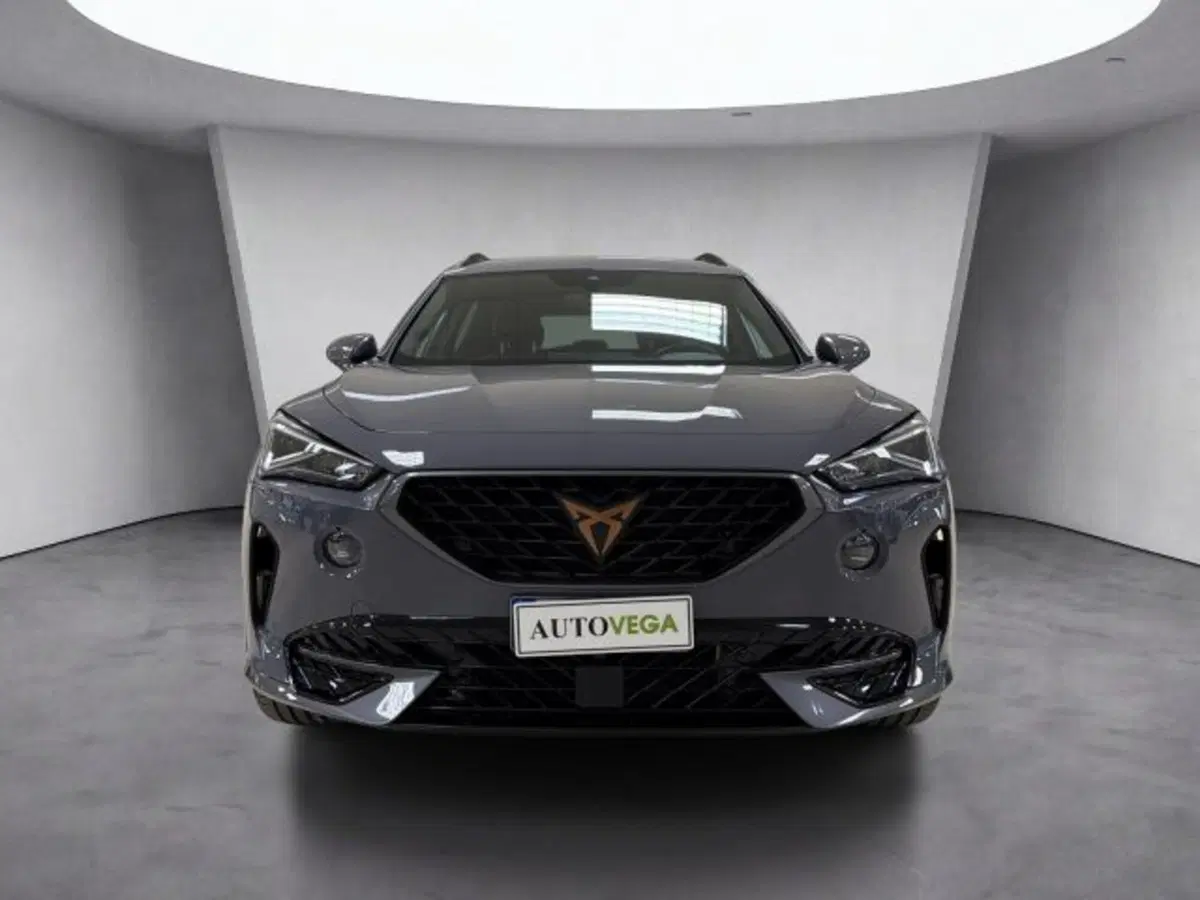Cupra Formentor usata a Vicenza (2)