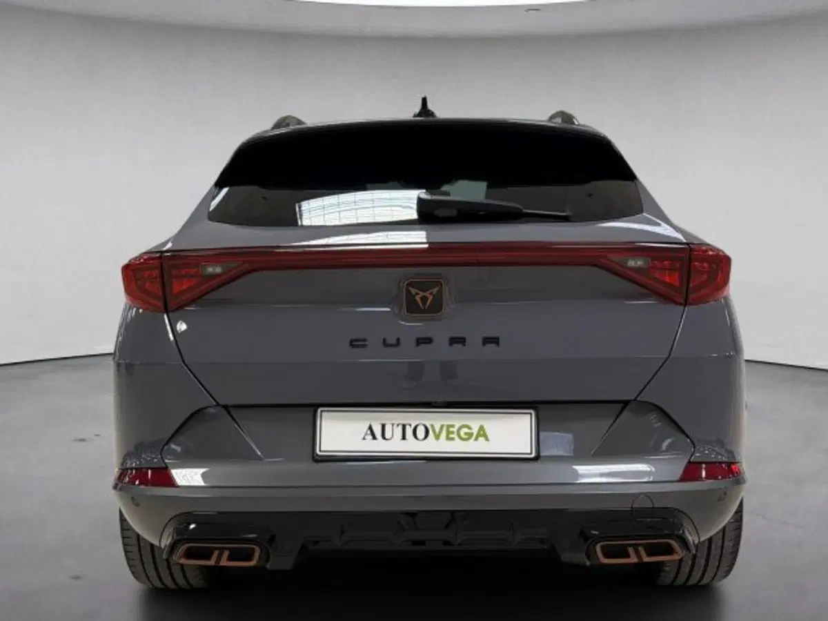 Cupra Formentor usata a Vicenza (5)