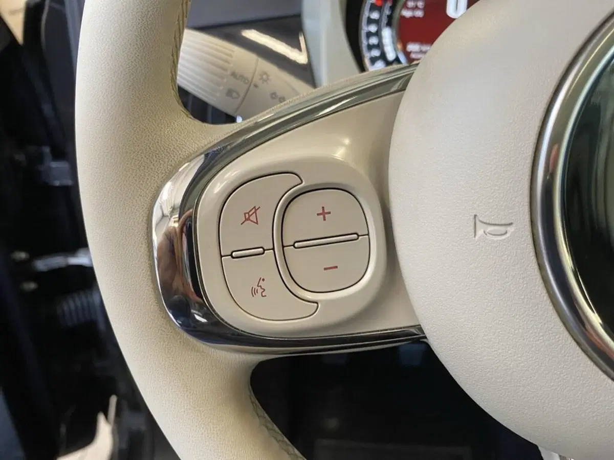 Fiat 500 usata a Torino (13)