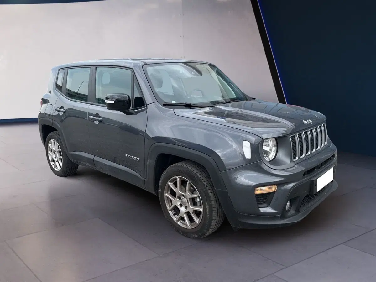 Jeep Renegade usata a Torino (2)