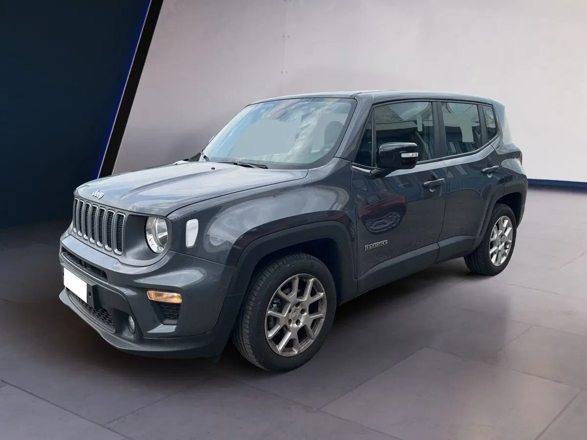 Jeep Renegade usata a Torino (3)