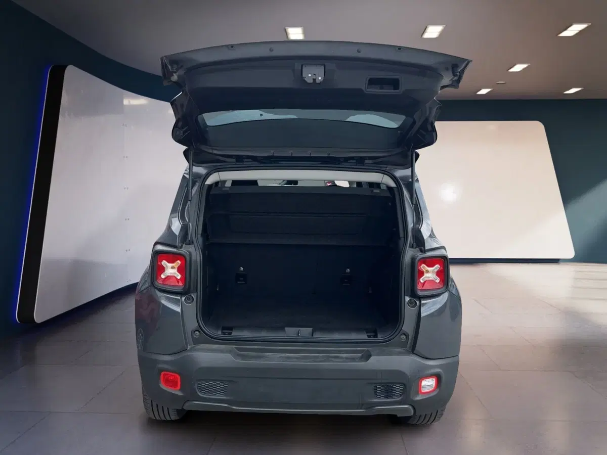 Jeep Renegade usata a Torino (7)