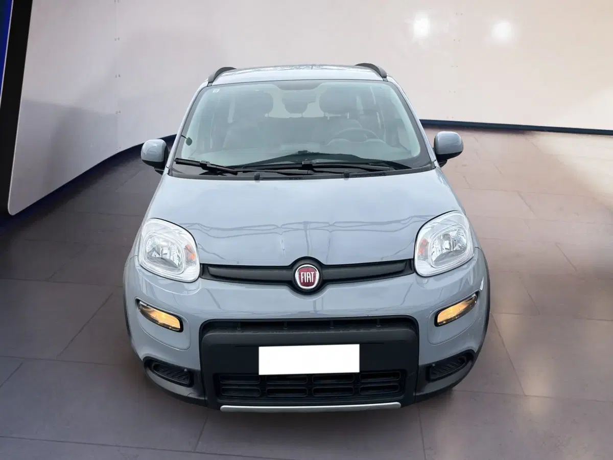 Fiat Panda usata a Torino