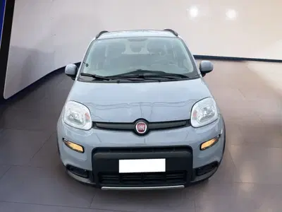 Fiat Panda 1.0 FireFly S&amp;S Hybrid City Cross del 2023 usata a Torino