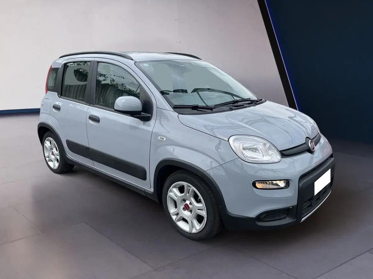 Fiat Panda usata a Torino (2)