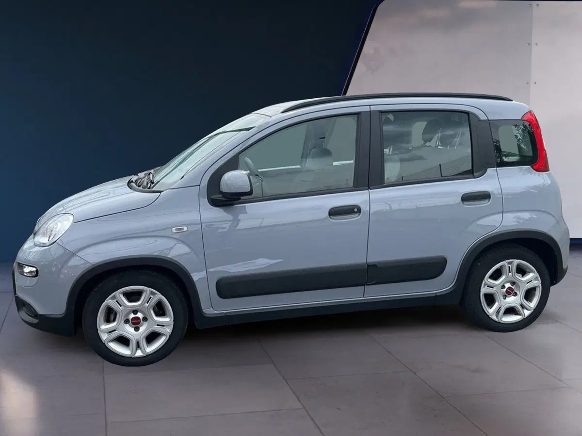 Fiat Panda usata a Torino (3)