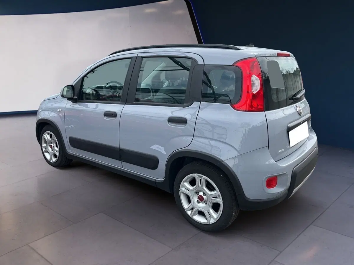 Fiat Panda usata a Torino (4)
