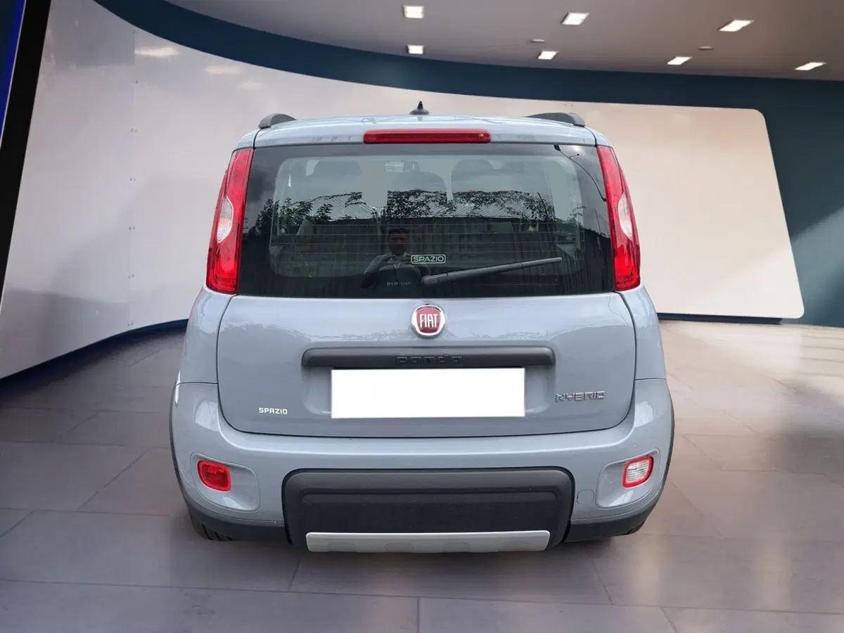 Fiat Panda usata a Torino (5)