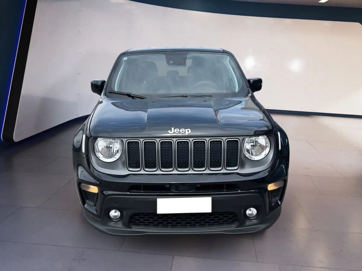 Jeep Renegade usata a Torino