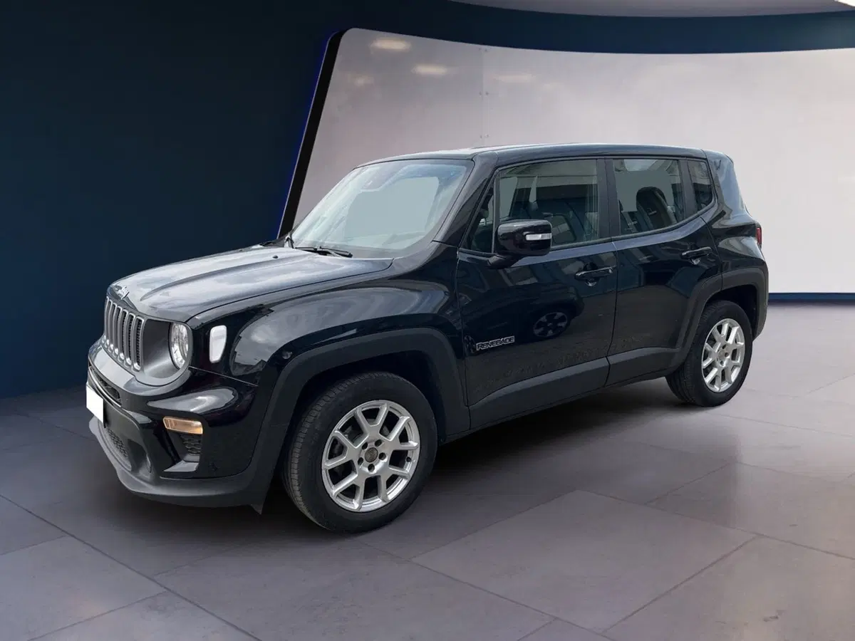 Jeep Renegade usata a Torino (2)