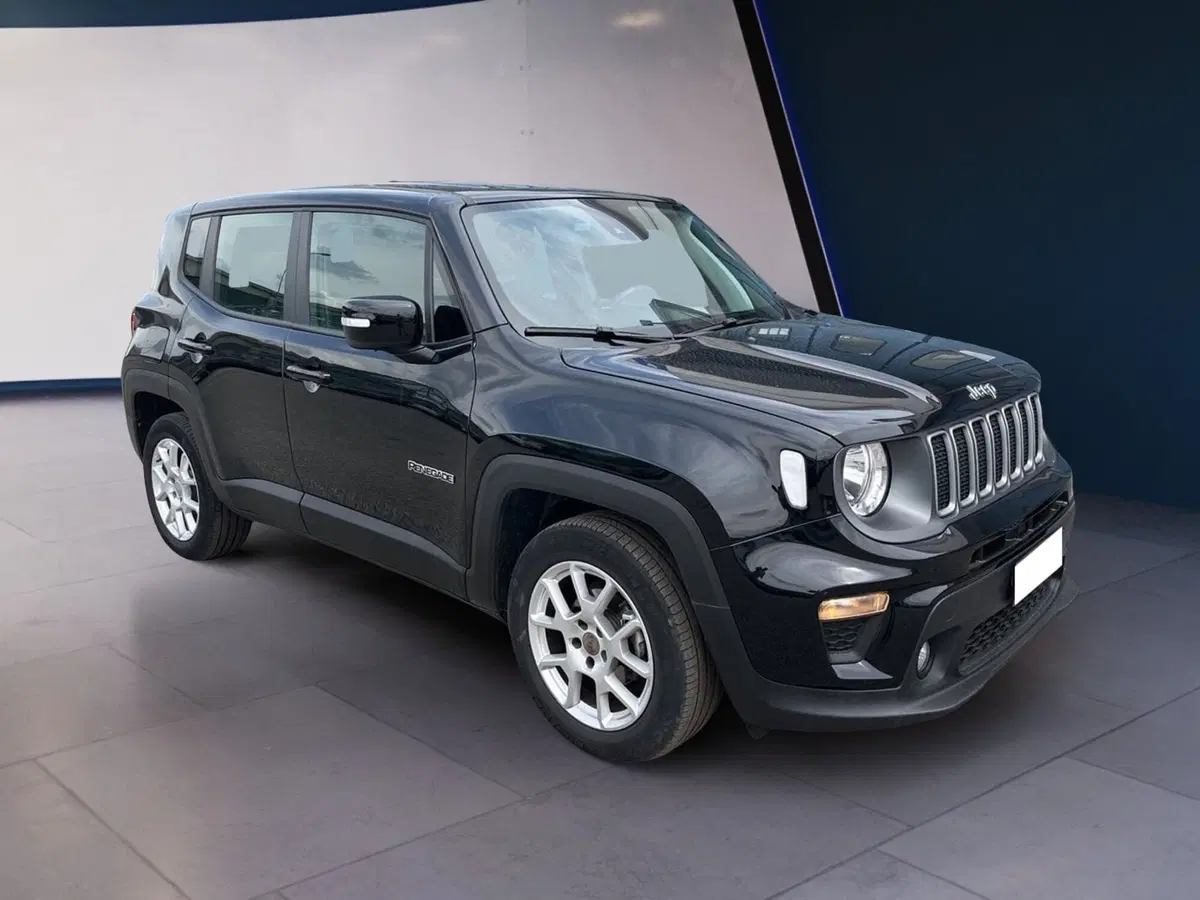 Jeep Renegade usata a Torino (3)