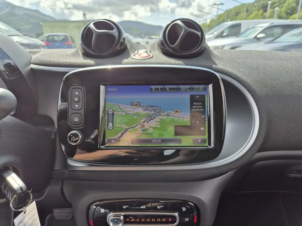 smart Fortwo usata  (10)
