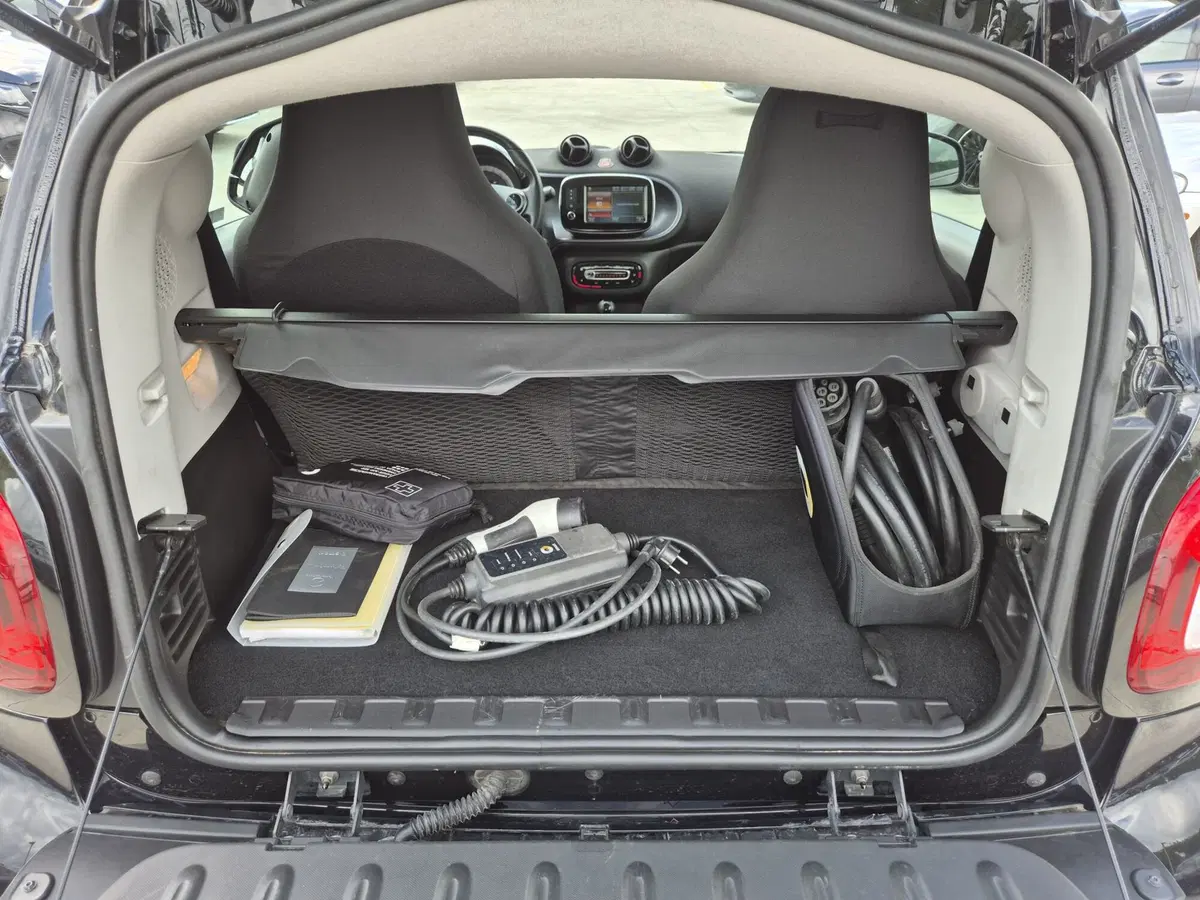 smart Fortwo usata  (11)