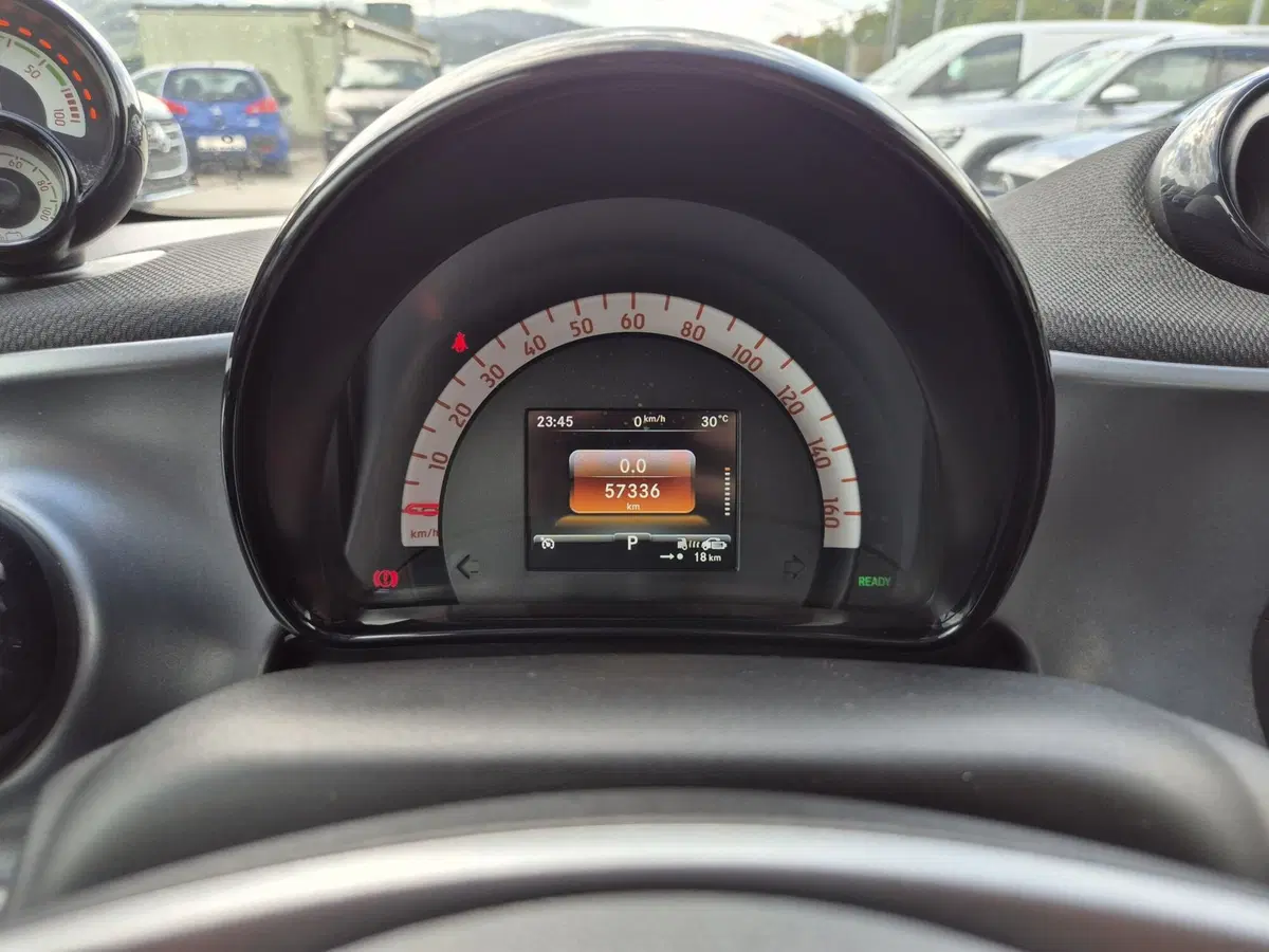 smart Fortwo usata  (13)