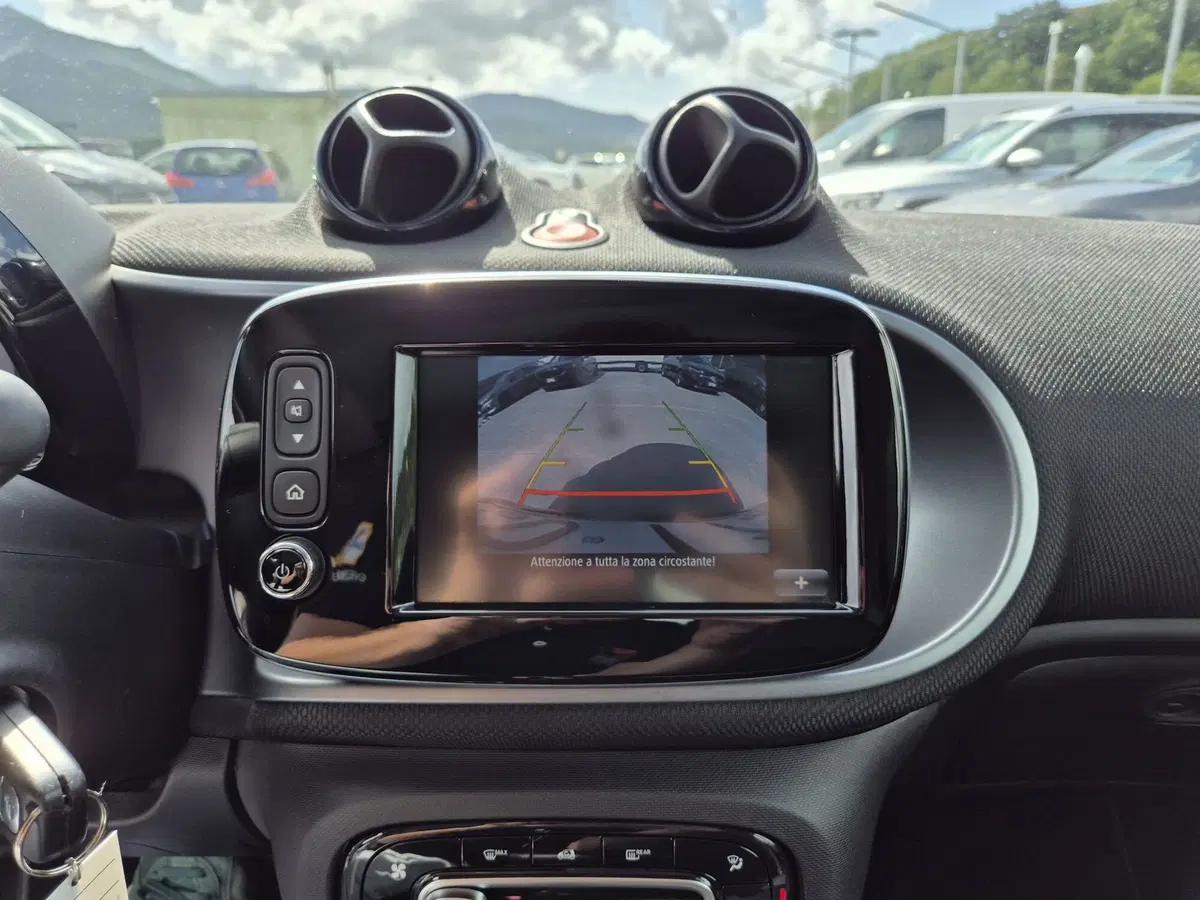 smart Fortwo usata  (14)