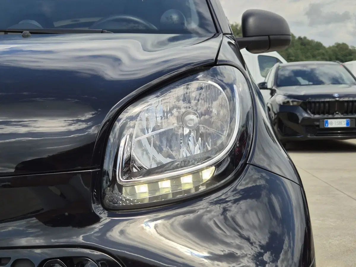 smart Fortwo usata  (16)