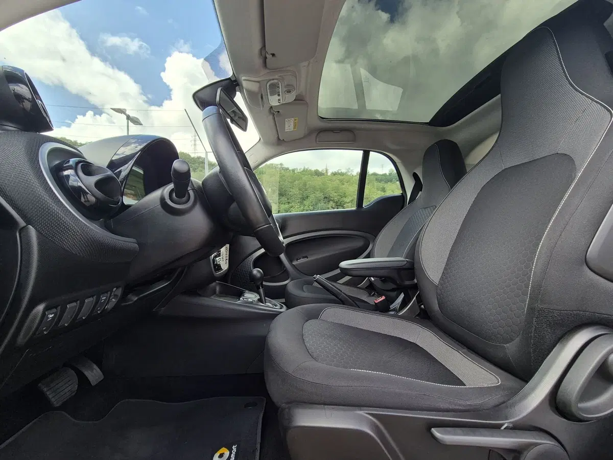 smart Fortwo usata  (17)