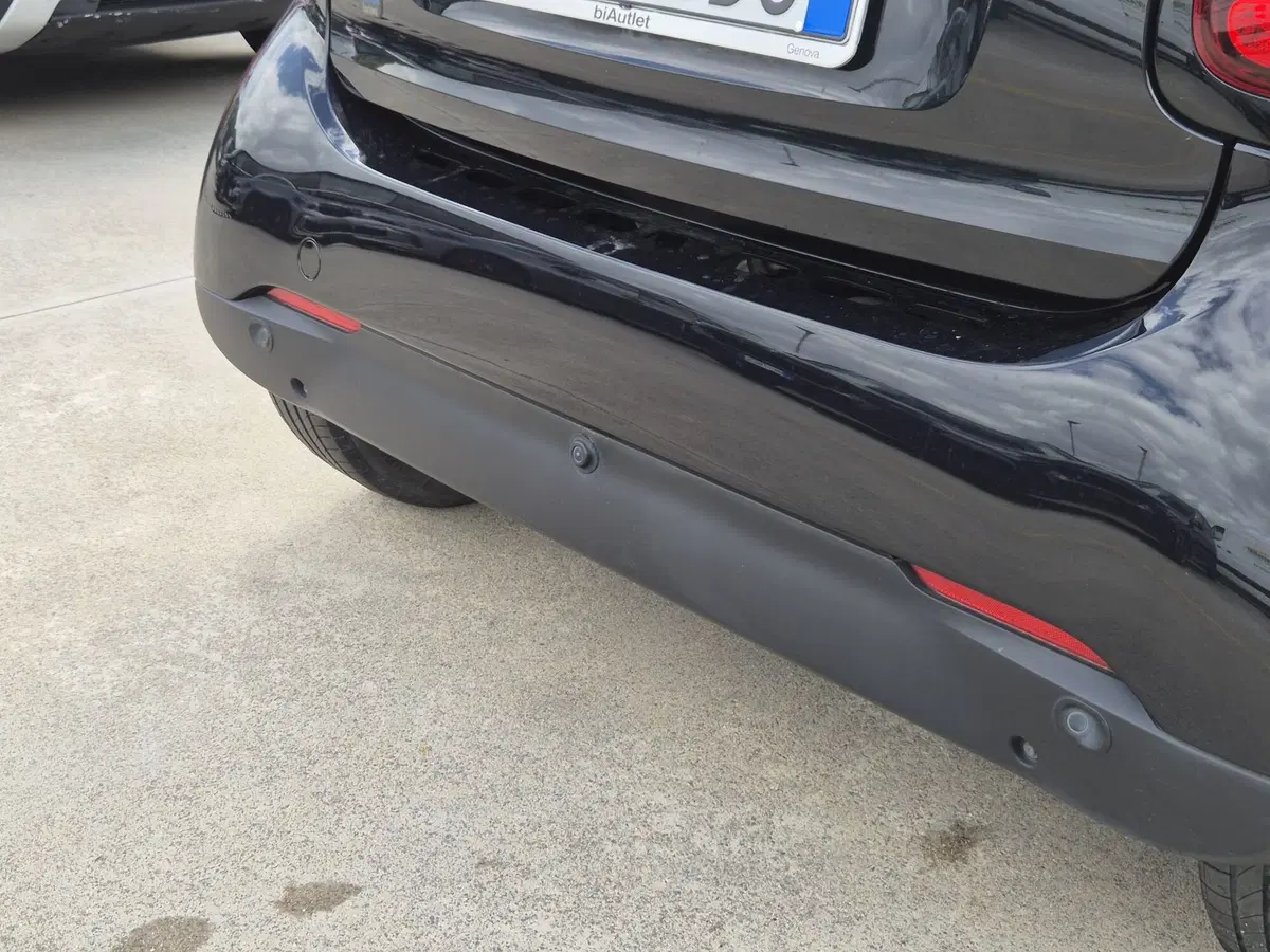 smart Fortwo usata  (18)