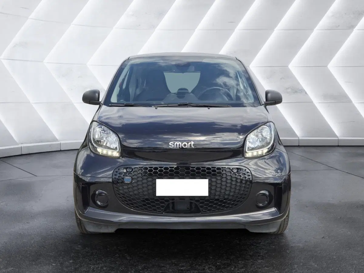 smart Fortwo usata  (2)
