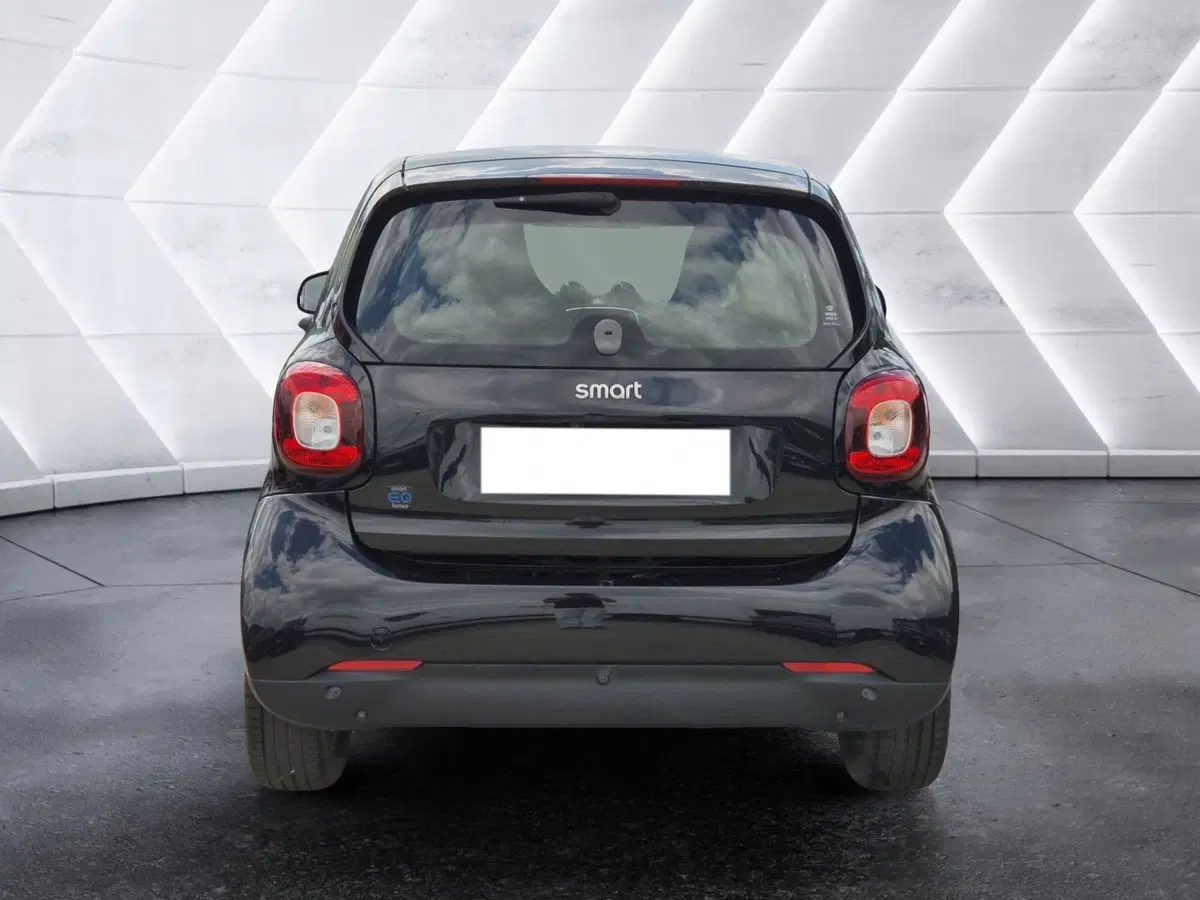 smart Fortwo usata  (3)