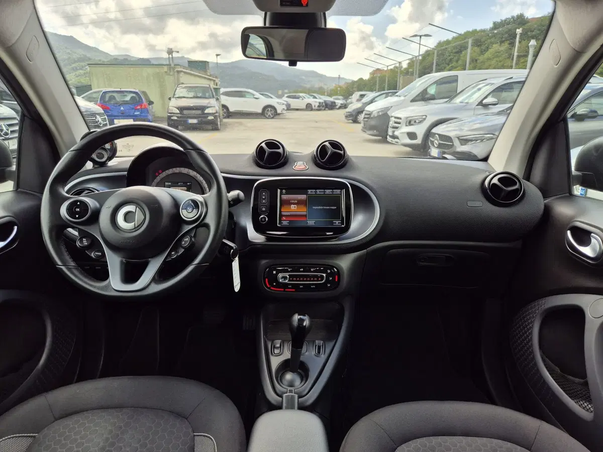 smart Fortwo usata  (7)