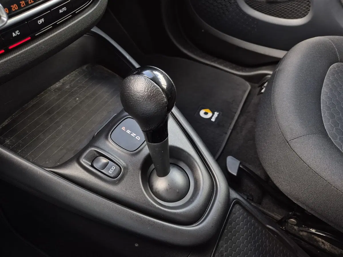 smart Fortwo usata  (9)