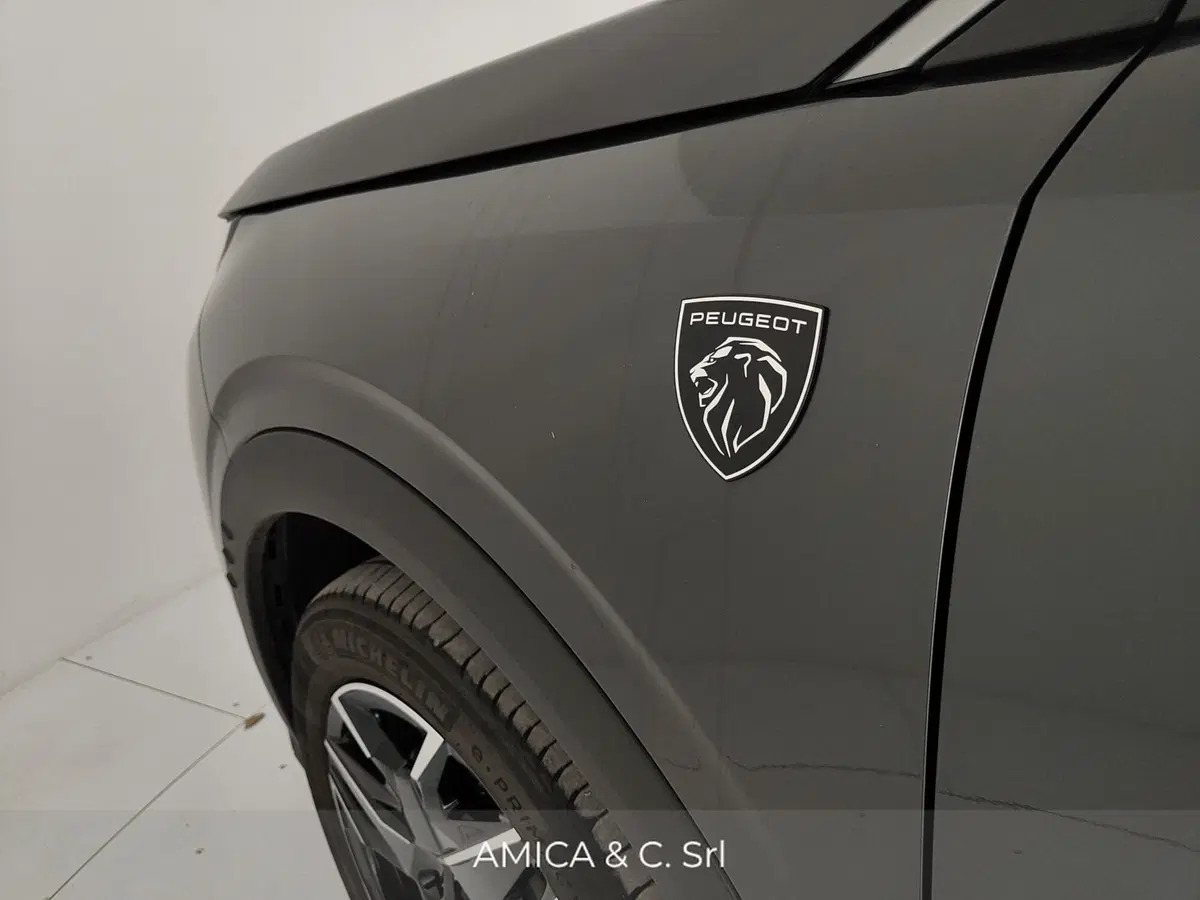 Peugeot 3008 usata a Caserta (14)