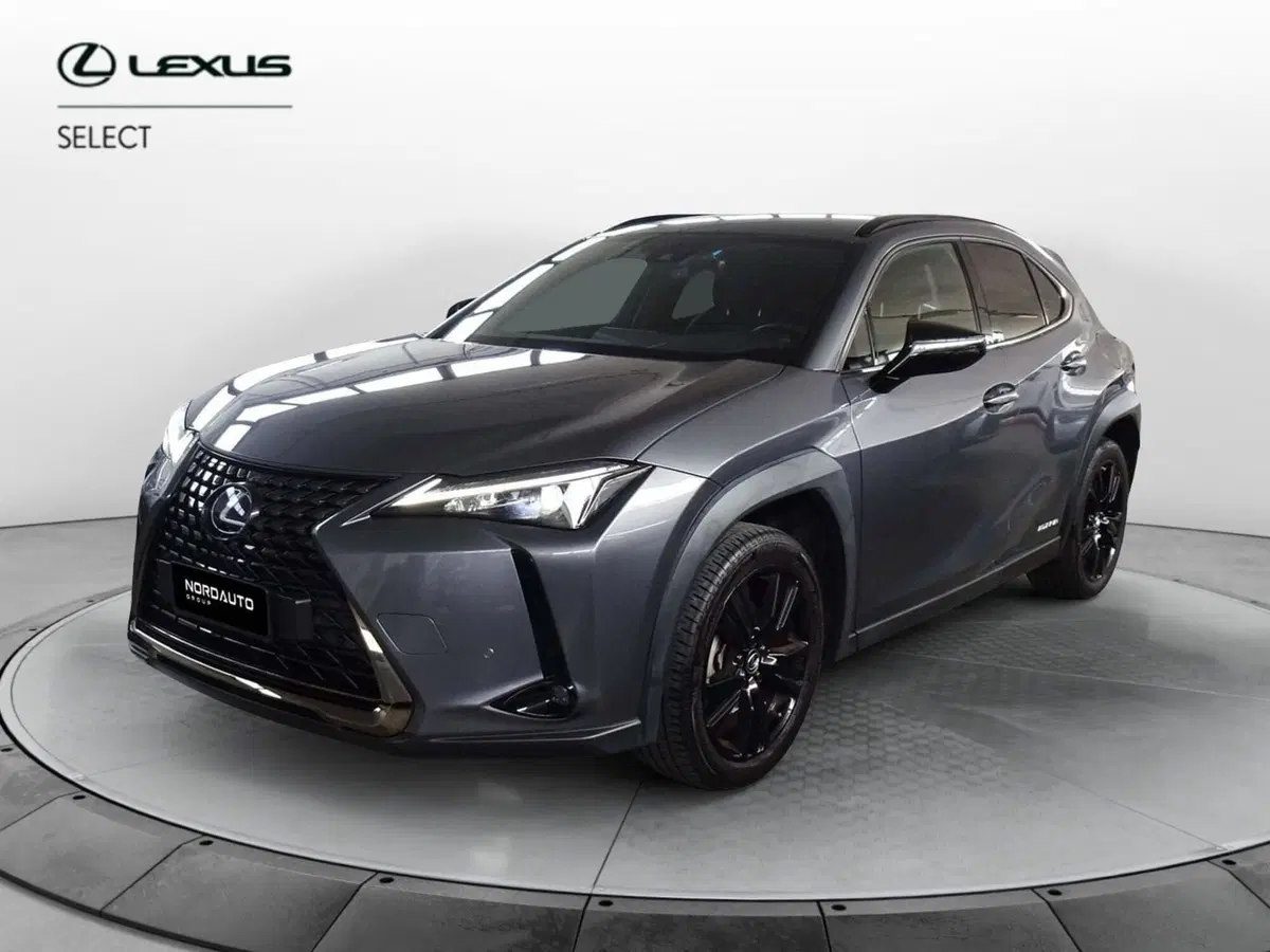 Lexus UX usata a Venezia