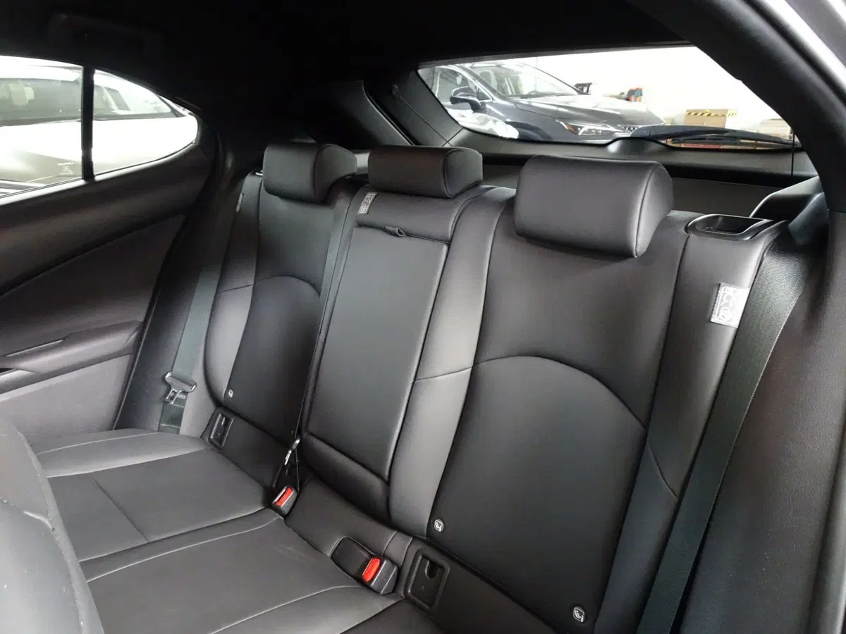 Lexus UX usata a Venezia (10)