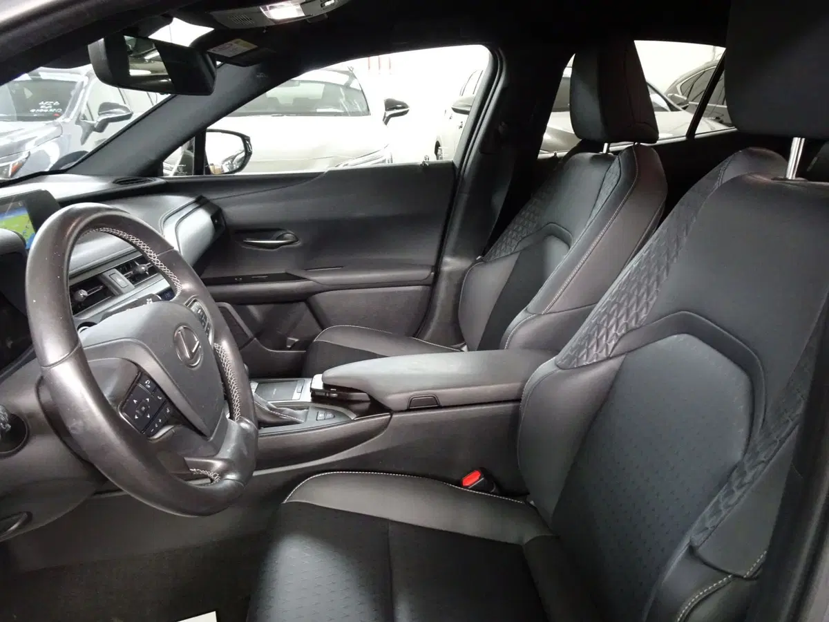 Lexus UX usata a Venezia (8)