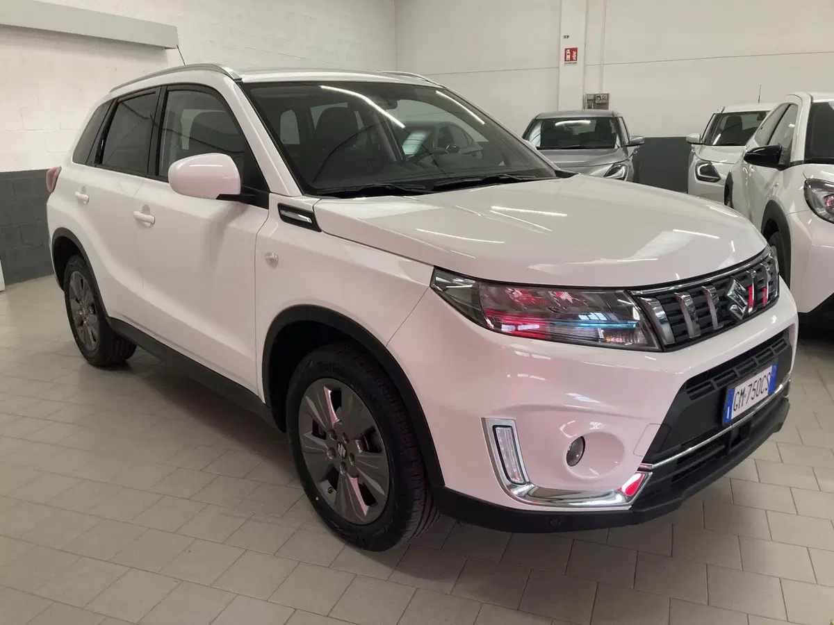 Suzuki Vitara usata a Pavia