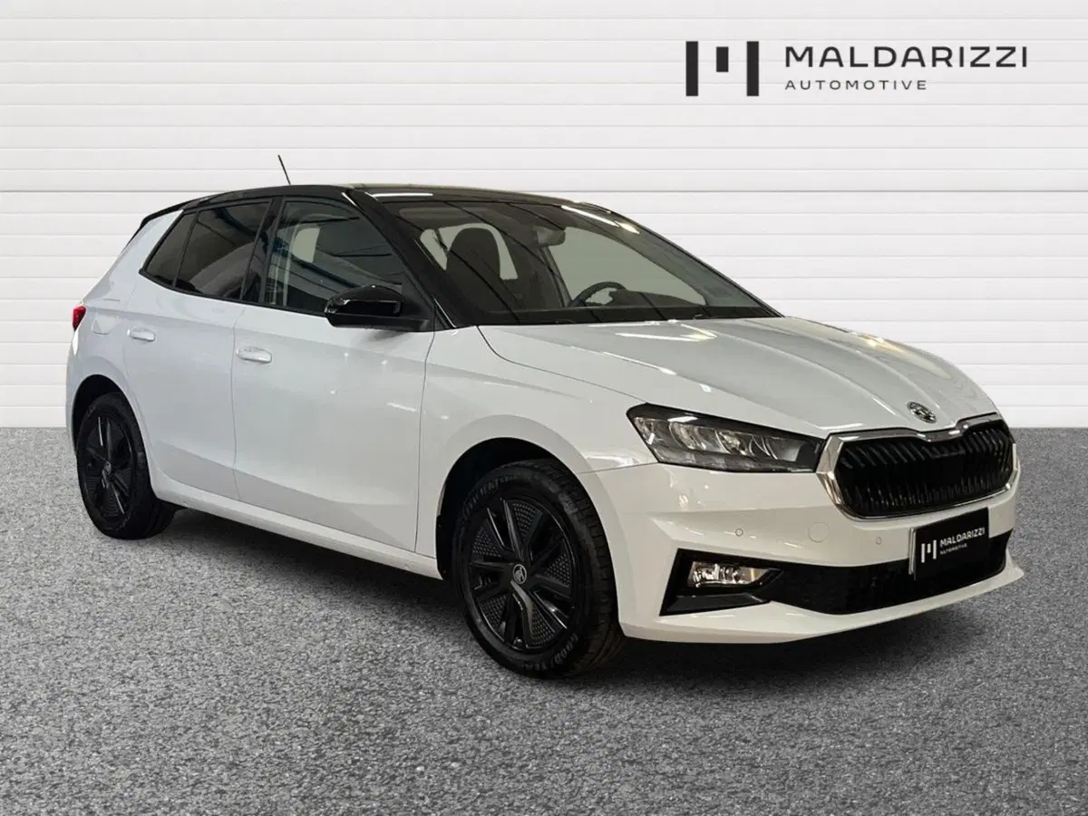 Skoda Fabia usata a Bari