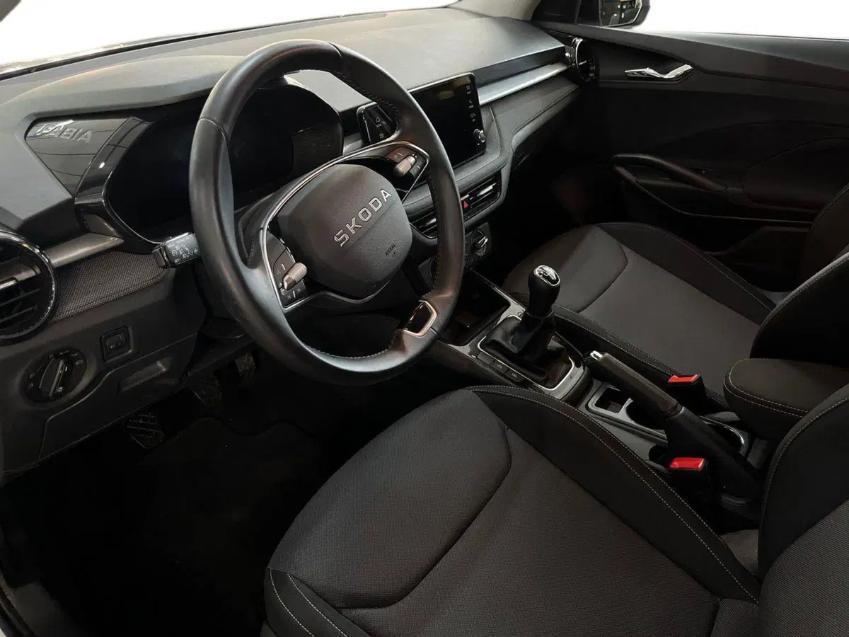 Skoda Fabia usata a Bari (10)