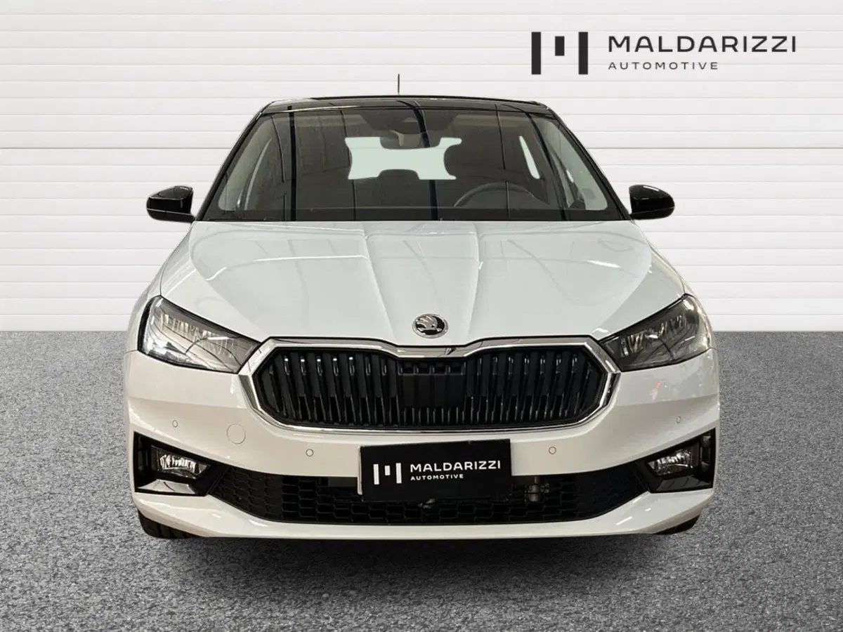 Skoda Fabia usata a Bari (2)