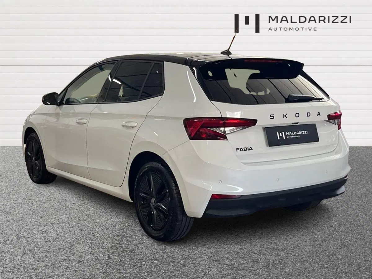 Skoda Fabia usata a Bari (4)