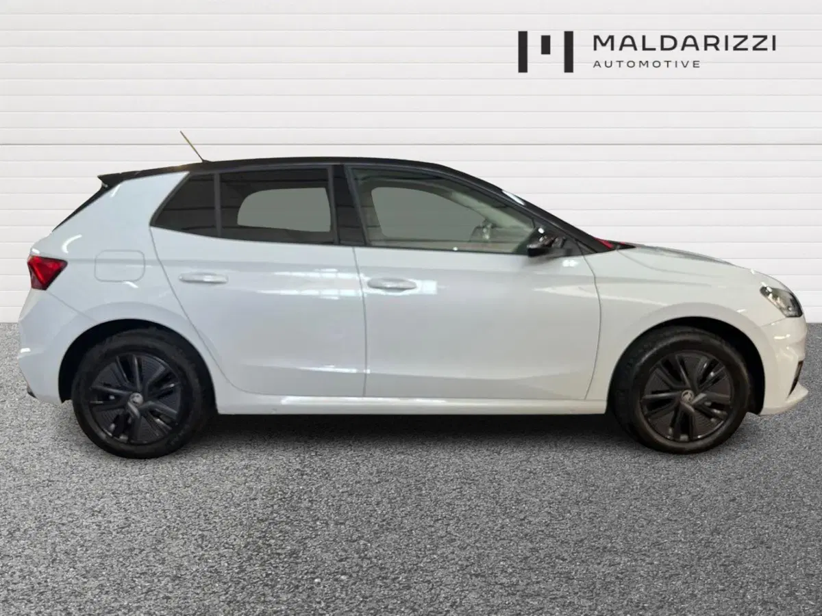Skoda Fabia usata a Bari (5)