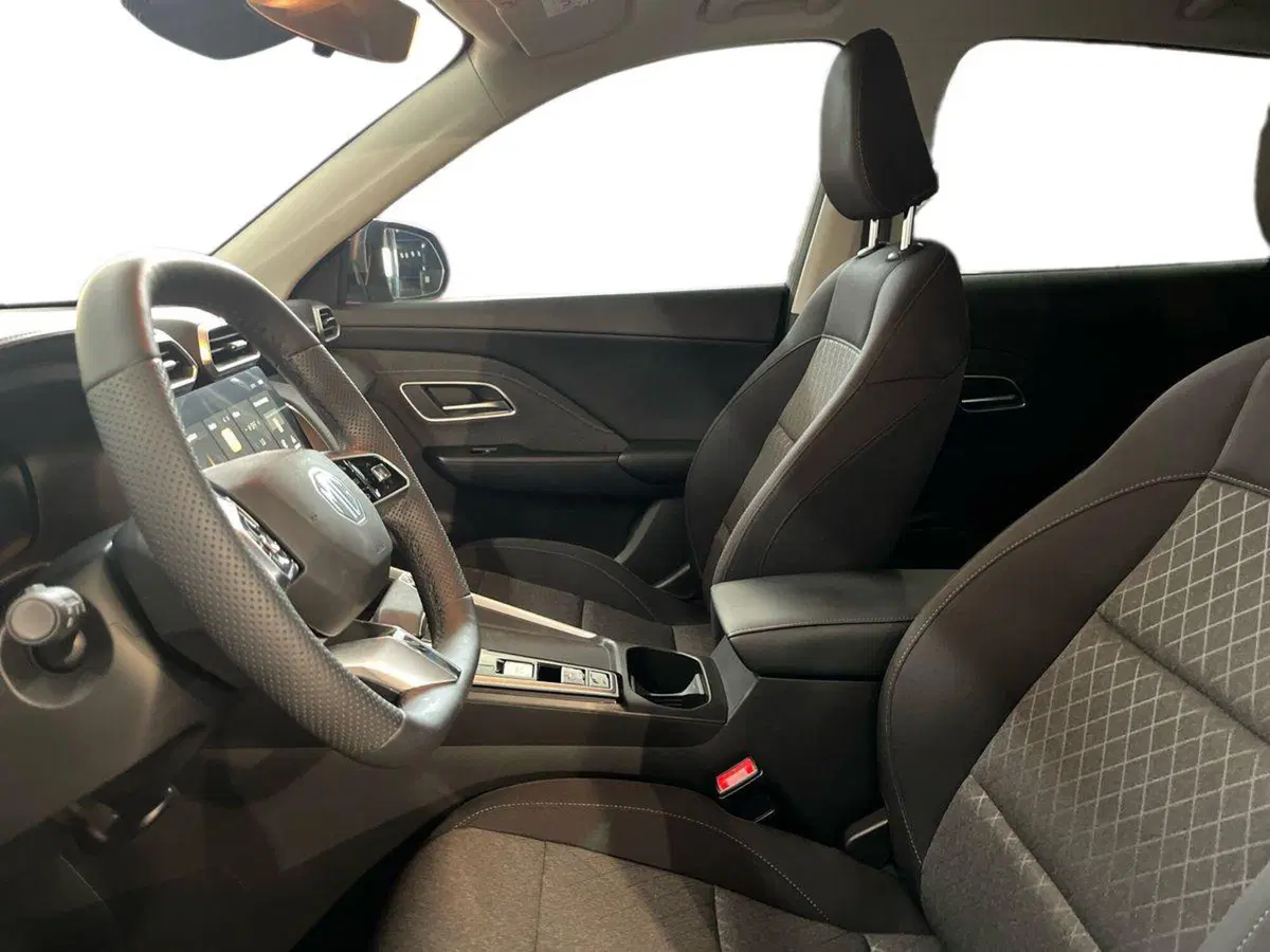 Mg ZS EV usata a Bari (7)