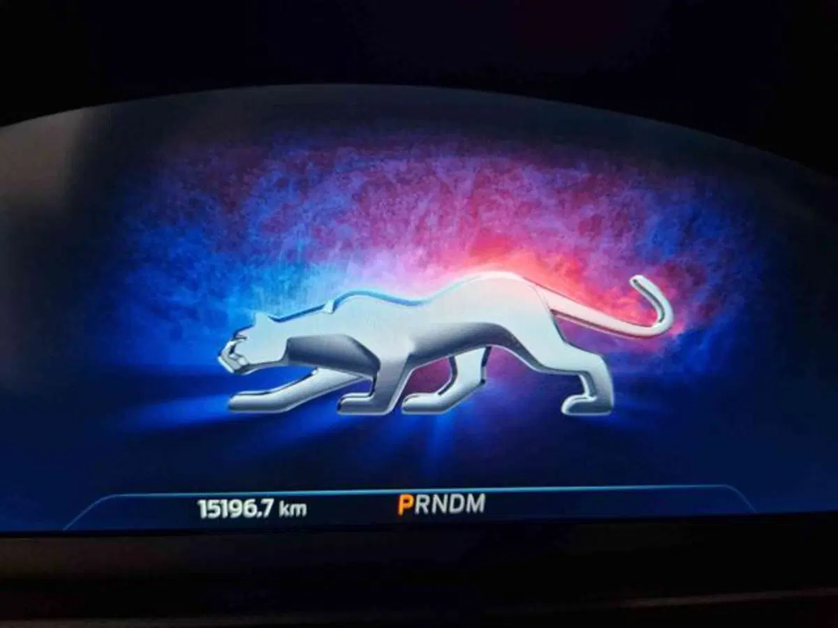Ford Puma usata a Bologna (10)