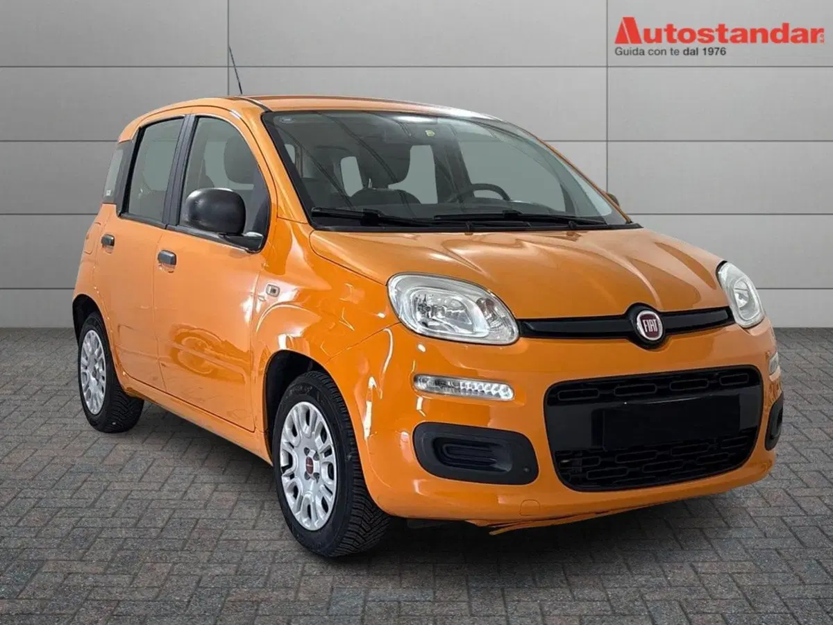 Fiat Panda usata a Torino (2)