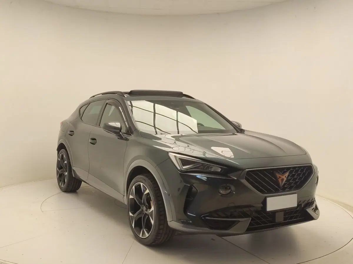 Cupra Formentor usata a Avellino