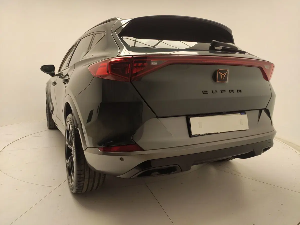 Cupra Formentor usata a Avellino (13)