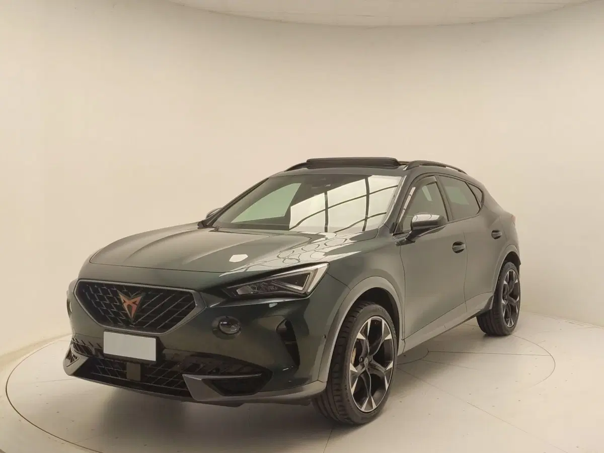 Cupra Formentor usata a Avellino (3)