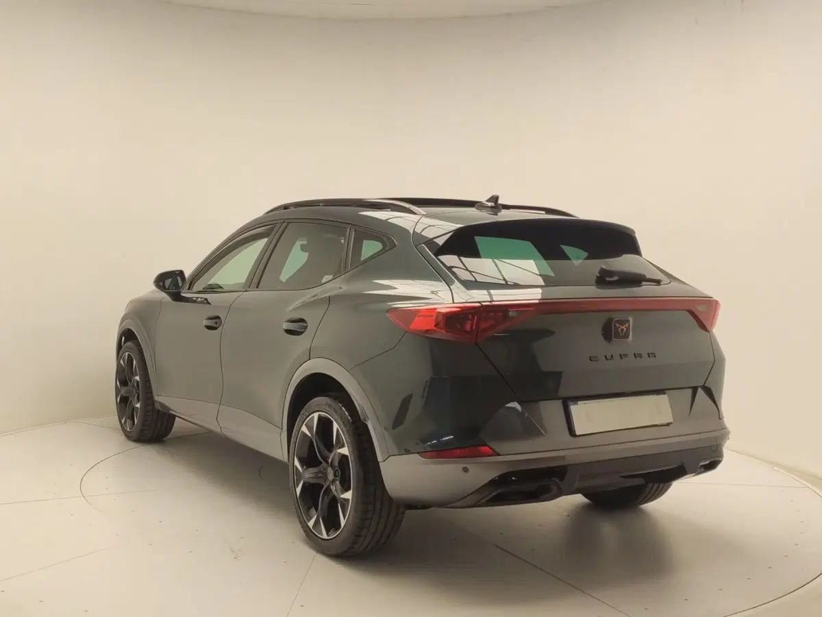 Cupra Formentor usata a Avellino (5)