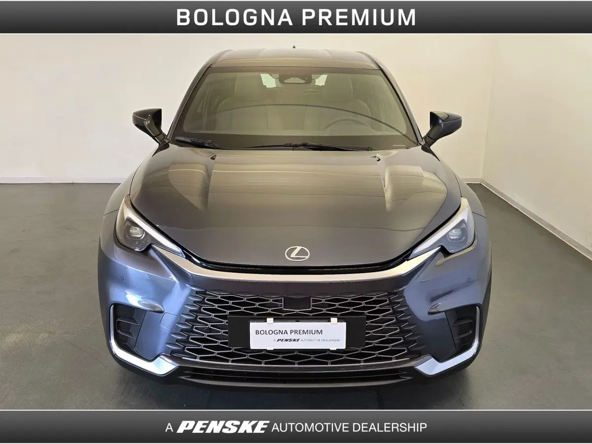 Lexus LBX usata a Bologna (8)